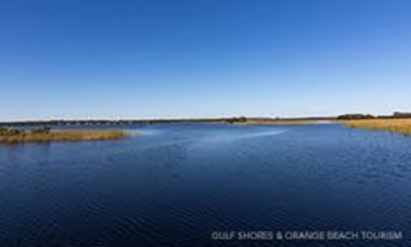 Audubon Bird Sanctuary