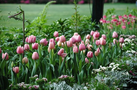 2019 Welcome Center Lecture Series: The History of Bellingrath Gardens and Home