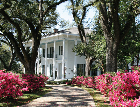 Bragg-Mitchell Mansion's Annual Spring Tea