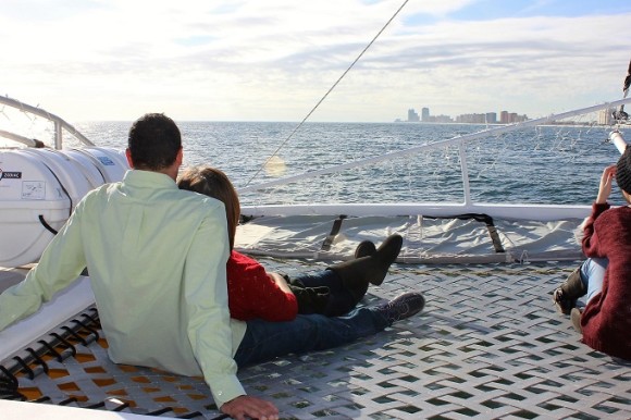 Cetacean Dolphin and Sailing Cruises