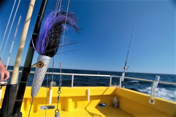 Alabama Coastal Charters