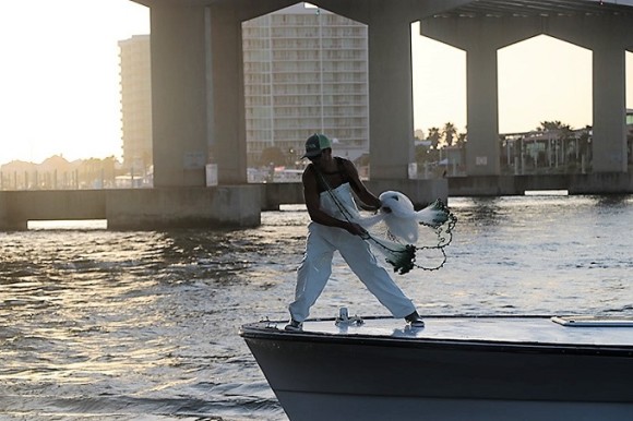 Intruder Charters