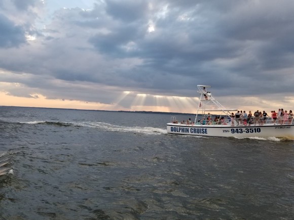 Dolphin Cruises (Cold Mil Fleet)