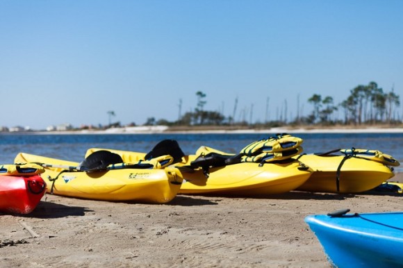 Coyote Beach Sports