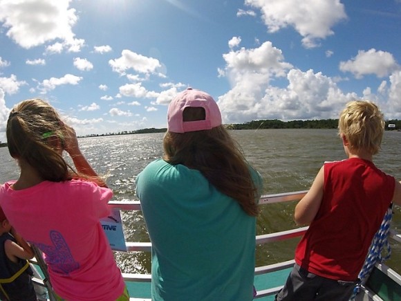 Dolphin Cruises (Cold Mil Fleet)