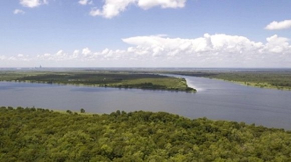 Sunday Afternoon Holiday Delta Discovery Cruise from Five Rivers