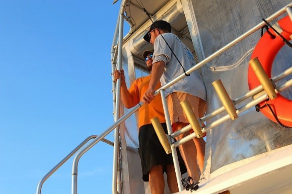 Sea Spray Charters