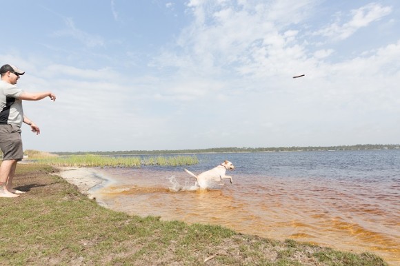 The Dog Pond