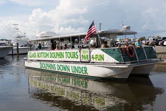 Dolphins Down Under "Glass Bottom Dolphin Tours"