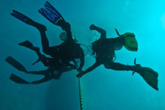 Down Under Dive Shop