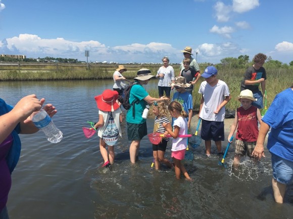 The Estuarium at The Dauphin Island Sea Lab