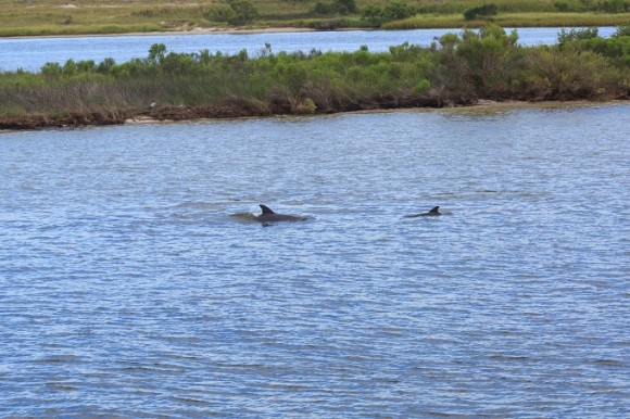 Island Boat Excursions