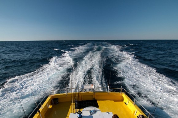 Jamie G Charters