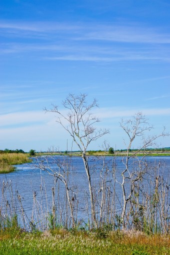 Delta Discovery Tours