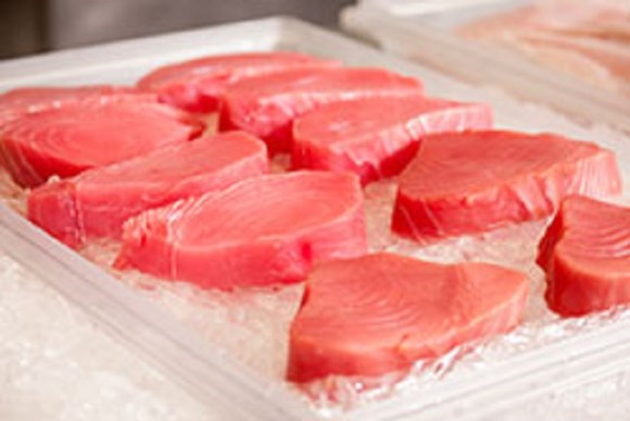 Fresh Market Seafood Bait & Tackle