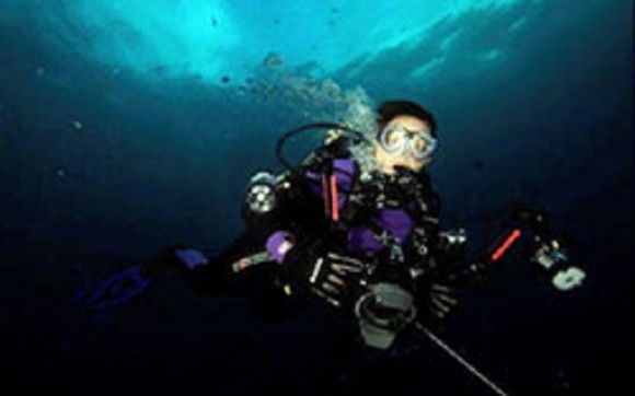 Alabama Gulf Divers