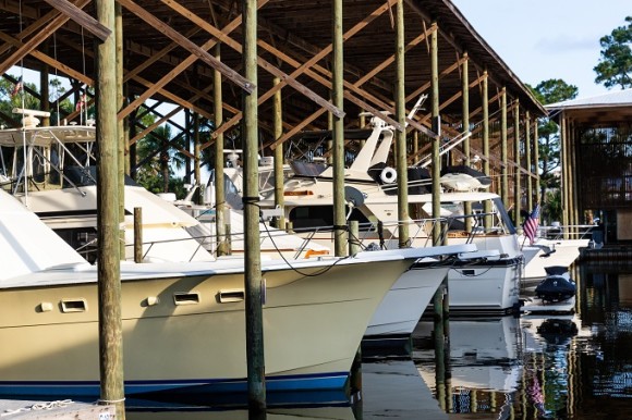 Gulf Adventure Charters