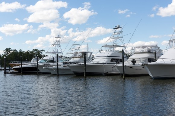 Gulf Bay Adventures