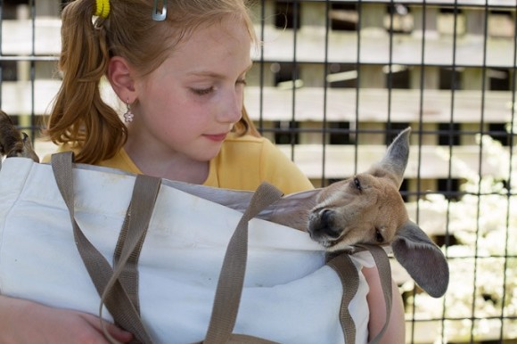 Kangaroo Encounter: Alabama Gulf Coast Zoo