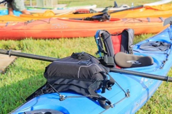 Kayak Eco Tours
