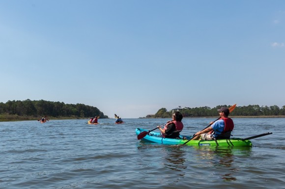 Purely Paddle