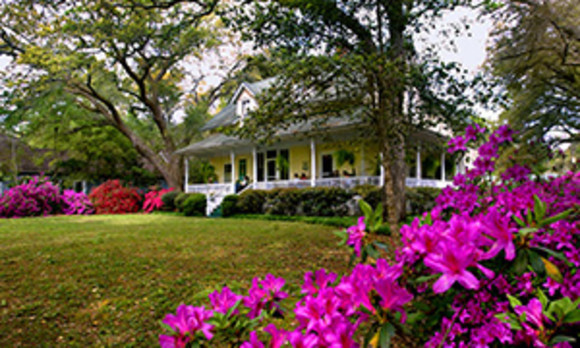 Magnolia Springs Bed & Breakfast