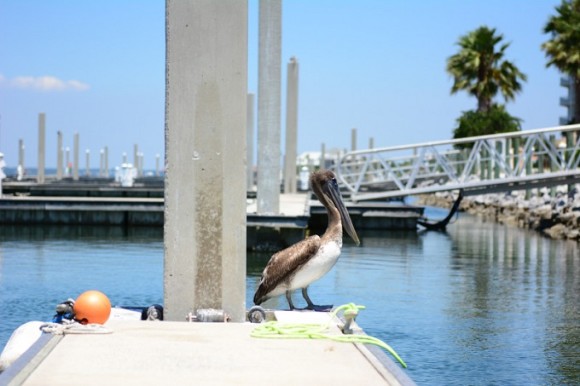Happy Harbor Marina