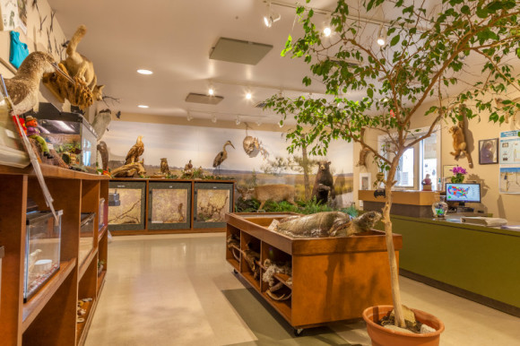 Gulf State Park Nature Center