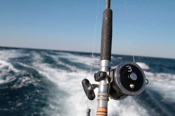 A Pair A Dice Charter