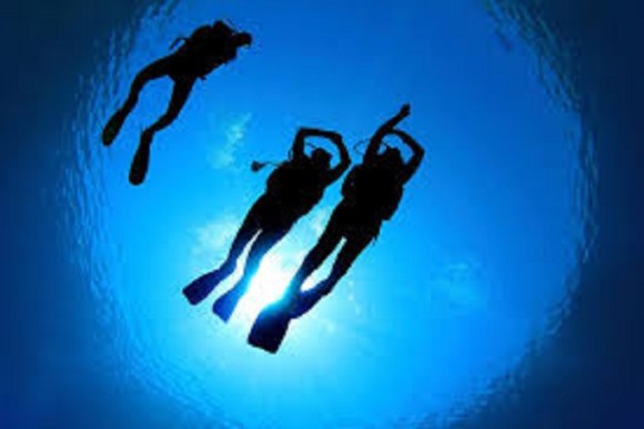 Pleasure Island Divers
