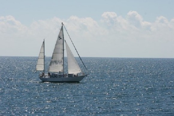 Sail the Daedalus