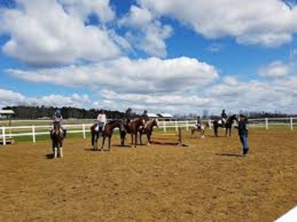 Seahorse Stables