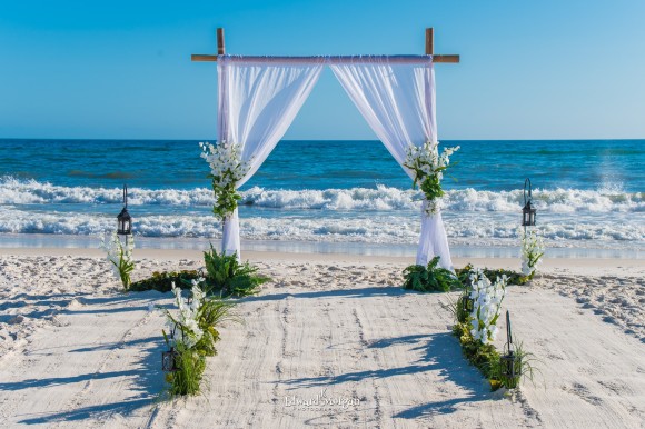 Sun Coast Beach Weddings