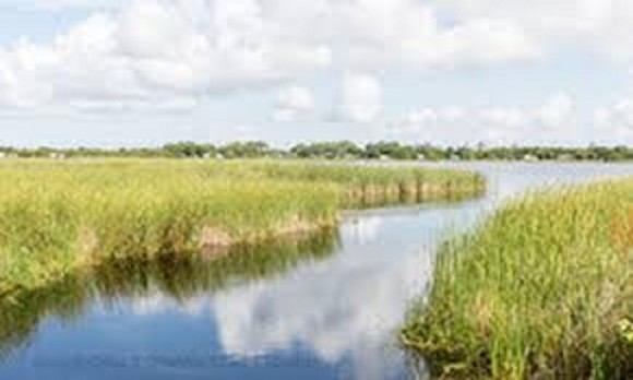 Wade Ward Nature Park