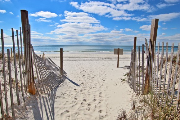 Young's Suncoast Realty & Vacation Rentals