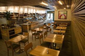 The Plant Cafe Organic