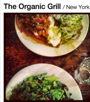 The Organic Grill