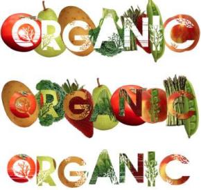 The Organic Grill