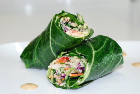 Vegetarian House