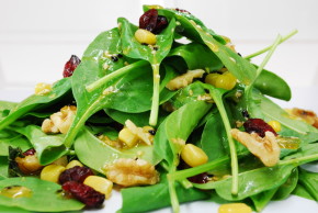 Vegetarian House