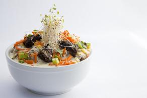 Organic Garden Cafe