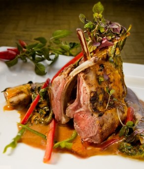 Bistro Elephant