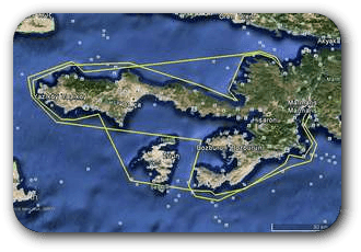 cruise-1