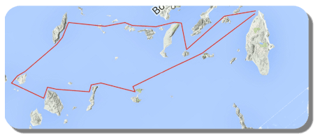 cruise-1