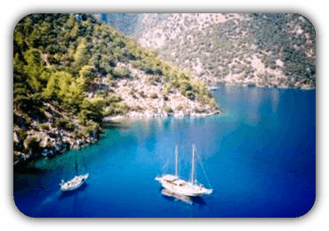 cruise-1