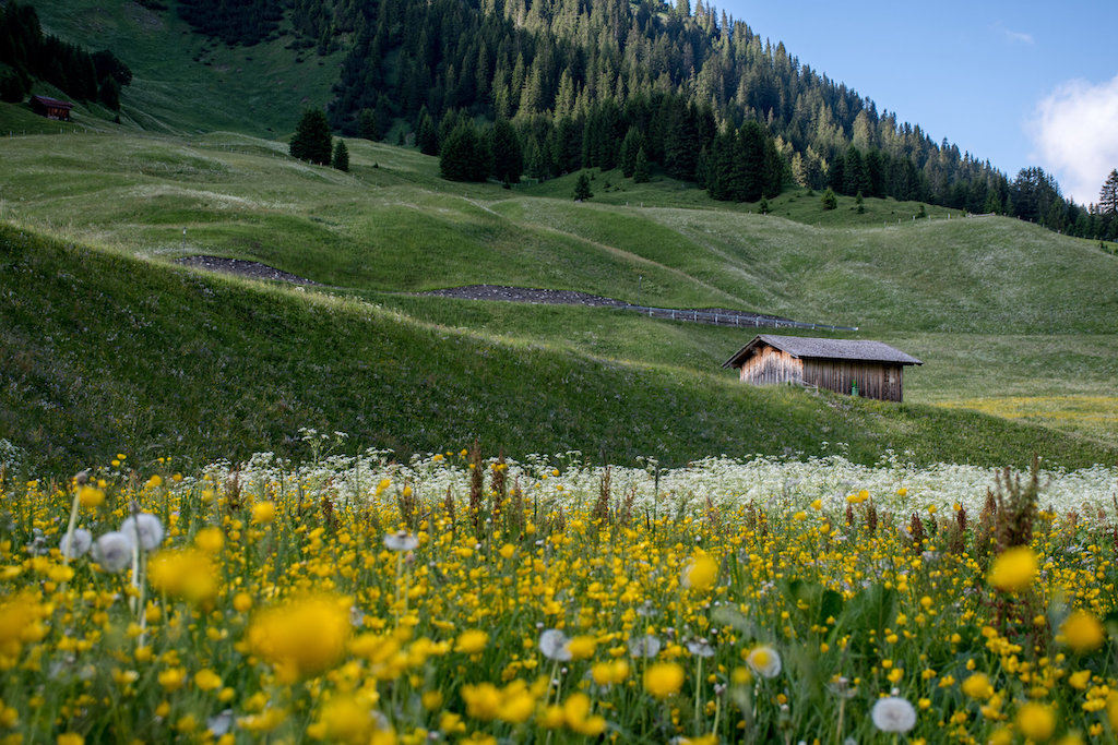 Omgeving Zürs am Arlberg
