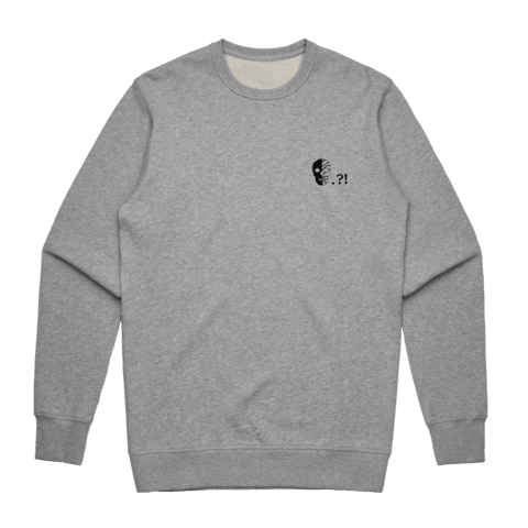 Skull Men's 100% Cotton Embroidered Sweatshirt in Grey / XXL by Buff Diss