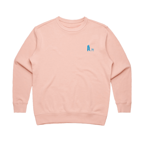 Ladder Women's 100% Cotton Embroidered Sweatshirt in Pale Pink / XXL by erinswindow