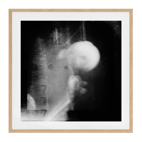 7 Solid Wood Framed Art Print in Natural Frame / 83 X 83 CM by Serap Osman