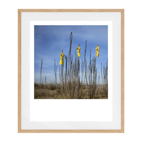 Hands All Over 09 Solid Wood Framed Art Print in Natural Frame / 95 X 78 CM by Serap Osman